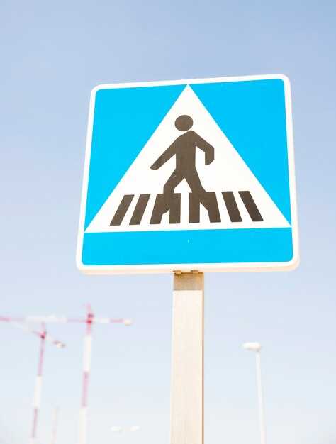 Влияние освещения на безопасность перемещения пешеходов